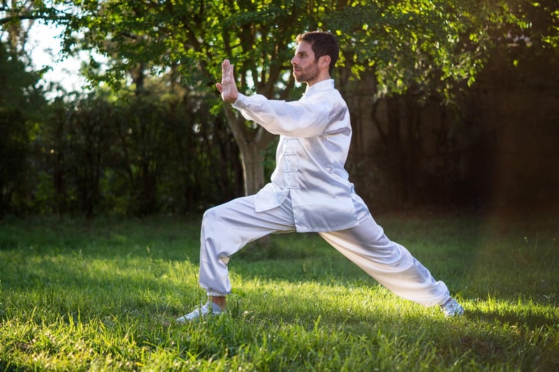 Chinese Martial Arts